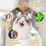 Catnip Ball 4-Pack for Cats - Edible Chew Toys