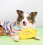 Zippy Paws Soft Squeaky Dog Toy
