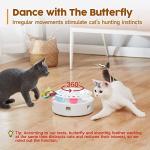 3-in-1 Interactive Cat Toy with Fluttering Butterfly