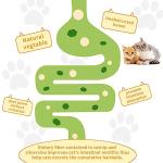 Catnip Ball 4-Pack for Cats - Edible Chew Toys