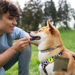 Portable Training Treat Pouch for Dogs