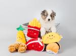 Zippy Paws Soft Squeaky Dog Toy