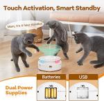 3-in-1 Interactive Cat Toy with Fluttering Butterfly