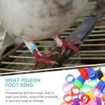 Kisangel 100 Pcs Pigeon Identification Rings
