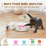 3-in-1 Interactive Cat Toy with Fluttering Butterfly
