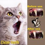 Natural Silvervine Catnip Chew Sticks for Cats