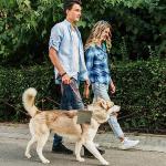 Portable Training Treat Pouch for Dogs