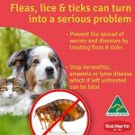 Bob Martin Flea and Tick Shampoo for Pets