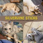 Natural Silvervine Catnip Chew Sticks for Cats
