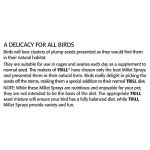 Millet Spray for Birds - 150g Bird Treat