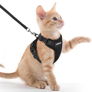 Rabbitgoo Adjustable Cat Harness with Leash - Black