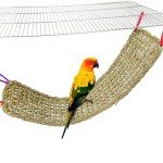 Seagrass Bird Mat and Chew Toy Hammock