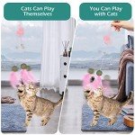 Interactive Door-Hanging Cat Feather Toy