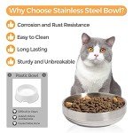 Stainless Steel Cat Bowl Set - 2 Pack