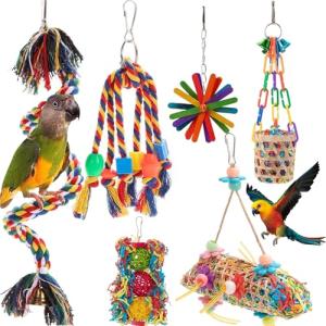 Colorful 6-Piece Parrot Toy Set with Bell