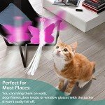 Interactive Door-Hanging Cat Feather Toy