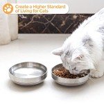 Stainless Steel Cat Bowl Set - 2 Pack