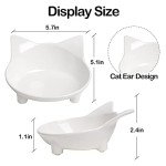 Non-Slip Pet Bowl for Cats and Dogs