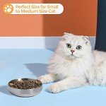 Stainless Steel Cat Bowl Set - 2 Pack