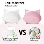 Non-Slip Pet Bowl for Cats and Dogs