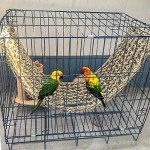 Seagrass Bird Mat and Chew Toy Hammock
