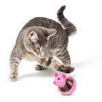 Mouse-Shaped Cat Treat Dispenser Toy - 2 Pack