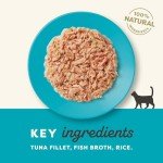 Applaws 100% Natural Tuna Fillet Cat Food 70g