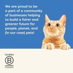 Applaws 100% Natural Tuna Fillet Cat Food 70g