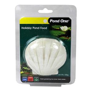 Holiday Fish Food for Aquariums - 100g