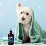 Baby Powder Scent Dog Cologne - Alcohol-Free Spray