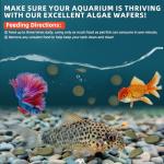 Nutritionally Balanced Shrimp Food for Fish