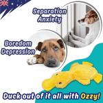 PeppyPawz No Stuffing Duck Dog Toy with Squeaker