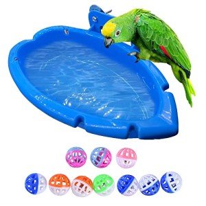 Hanging Parrot Bath Tub Basin for Bird Cages