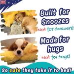 PeppyPawz No Stuffing Duck Dog Toy with Squeaker