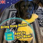 PeppyPawz No Stuffing Duck Dog Toy with Squeaker