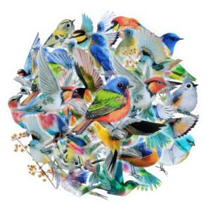 40Pcs Vintage Bird Stickers for DIY Crafts