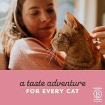 Applaws 100% Natural Tuna Fillet Cat Food 70g