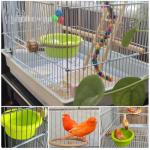 Universal Non-Slip Bird Bath for Cages