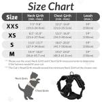 Rabbitgoo Adjustable Cat Harness and Leash Set