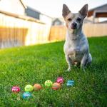Outward Hound Small Squeaker Balls Dog Toy 8-Pack
