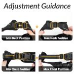 Rabbitgoo Adjustable Cat Harness and Leash Set