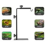 Adjustable Reptile Lamp Stand for Terrarium Lighting
