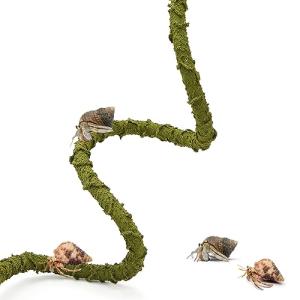 Bendable Climbing Vine for Hermit Crab Habitat