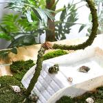 Bendable Climbing Vine for Hermit Crab Habitat