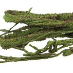 Flexible Jungle Vines for Reptile Habitats, 1m