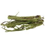Flexible Jungle Vines for Reptile Habitats, 1m