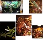 Flexible Jungle Vines for Reptile Habitats, 1m