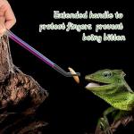 OLIISS Stainless Steel Reptile Feeding Tongs - 2 Pack