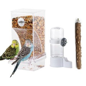 Automatic No-Mess Bird Feeder for Parrots