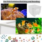 Roczential Fish Fry Breeding and Isolation Box